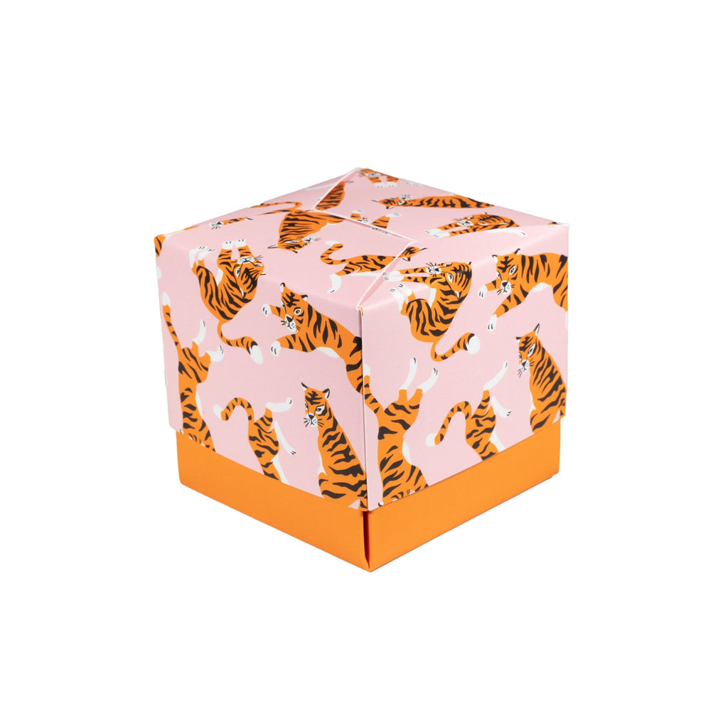 Cute Tigers Gift Box